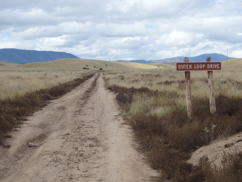 GDMBR: The Dark Brown Colored Weeds are Goat Head Spur Bushes.
